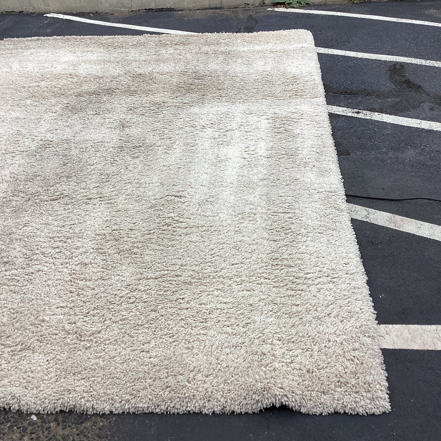 Thomasville Marketplace Rug 9x13 (R005)