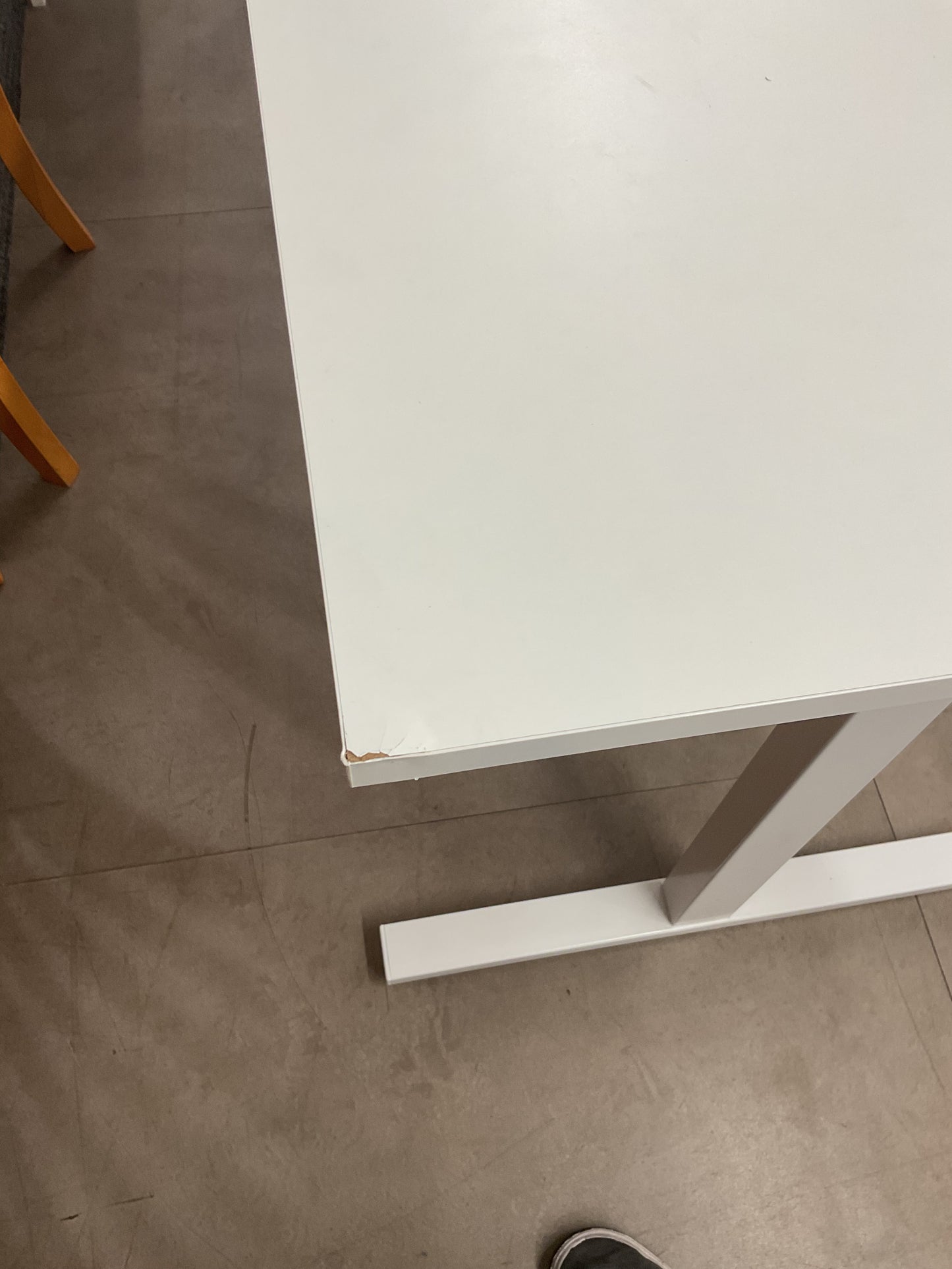 Snow Bunny Desk