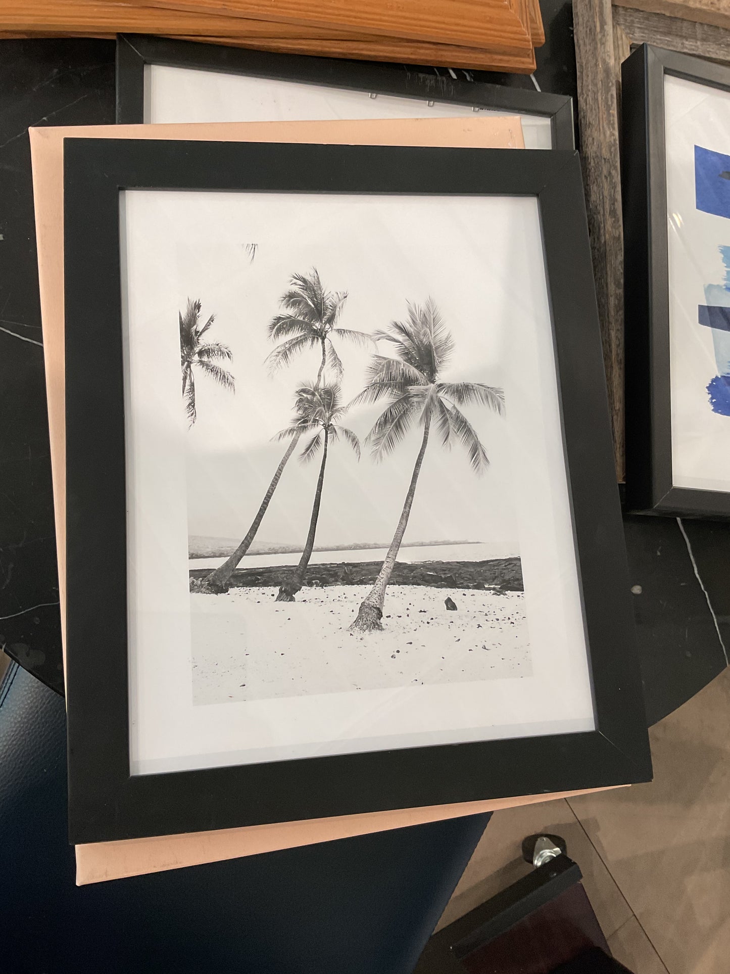 Palm Trees