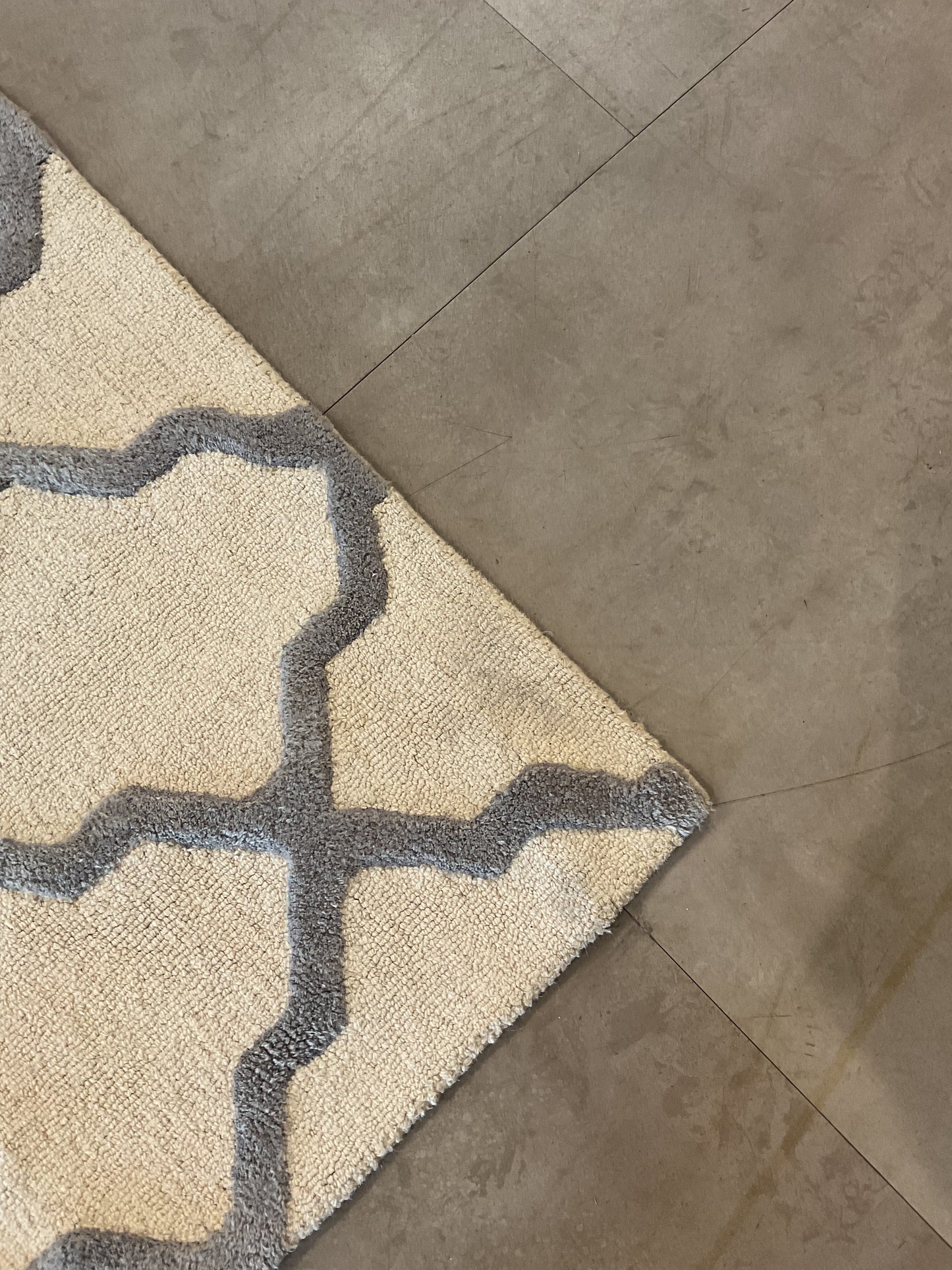 Rizzy Rug (R115)