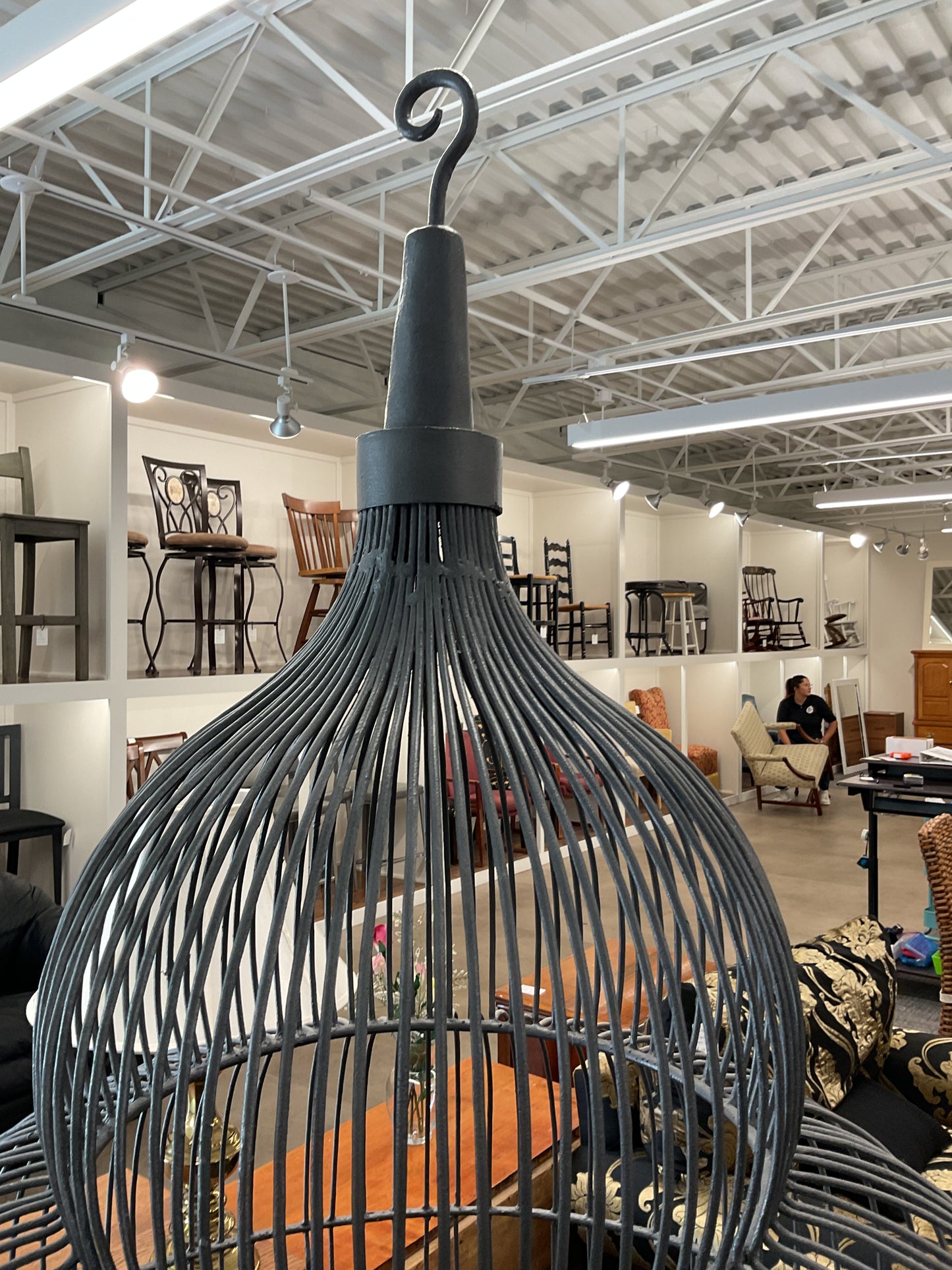 Bird Cage