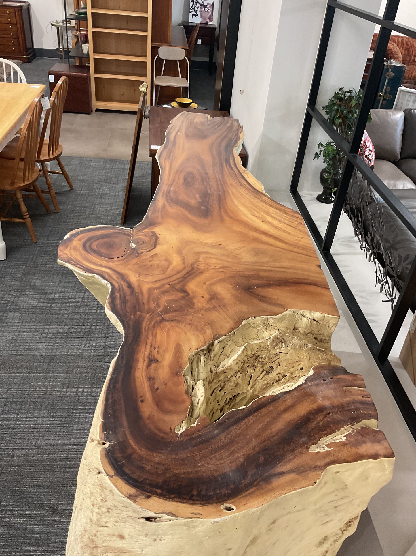 Teak Root Accent Table