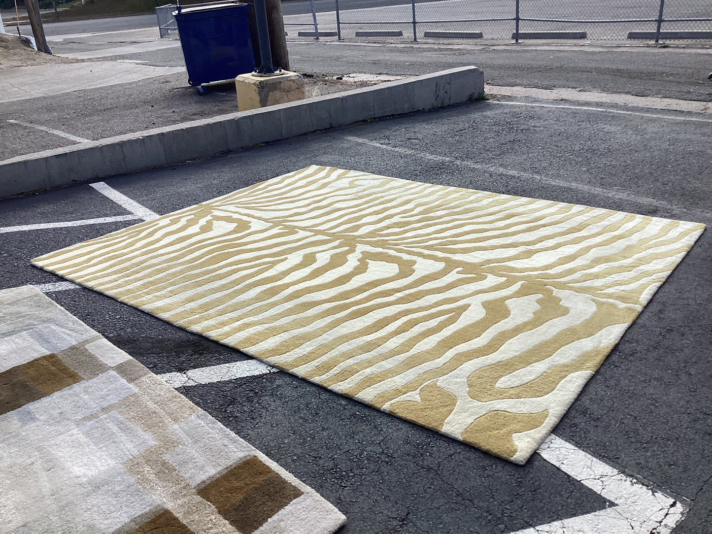 Yellow Zebra 8x10 Rug