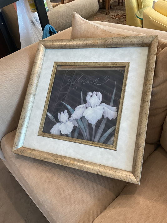 “Iris”