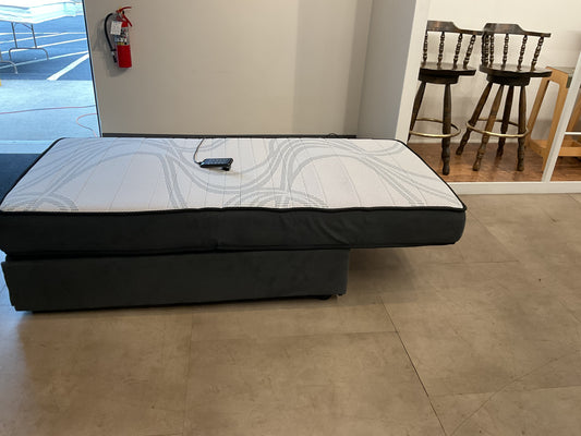 Twin Adjustable Bed & Chair (b279)