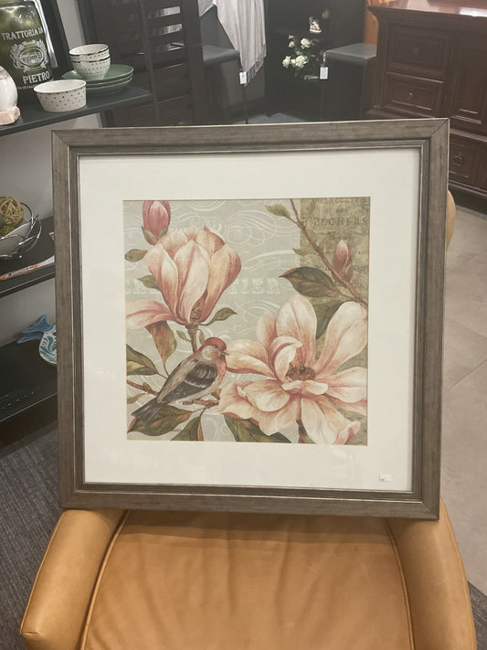Magnolia