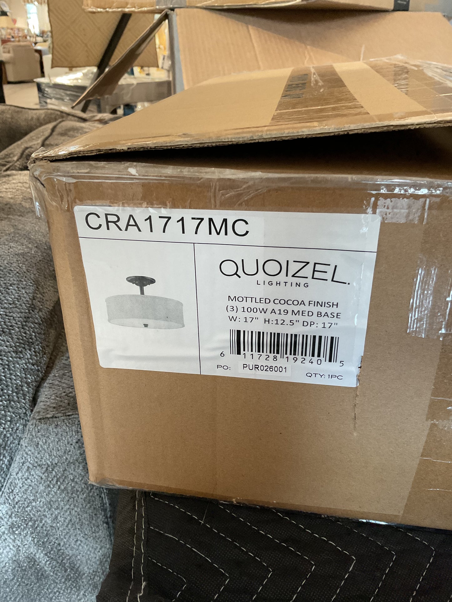 Quoizel Lighting Fixture #1